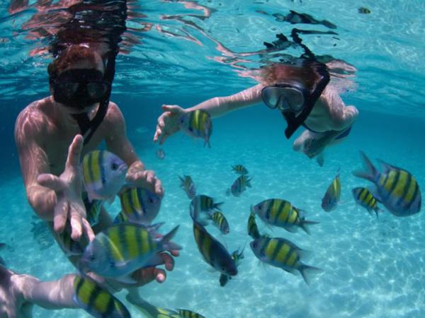 Snorkeling One day  PHI PHI