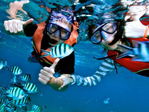 Snorkeling One day  Koh Ha & Koh Rok